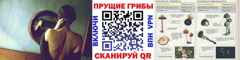 Галлюциногенные грибы GOLDEN TEACHER Ступино