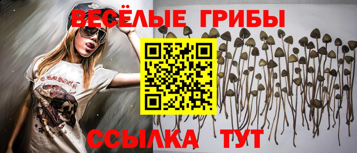 Галлюциногенные грибы мухоморы  Вход с VPN  Ступино 