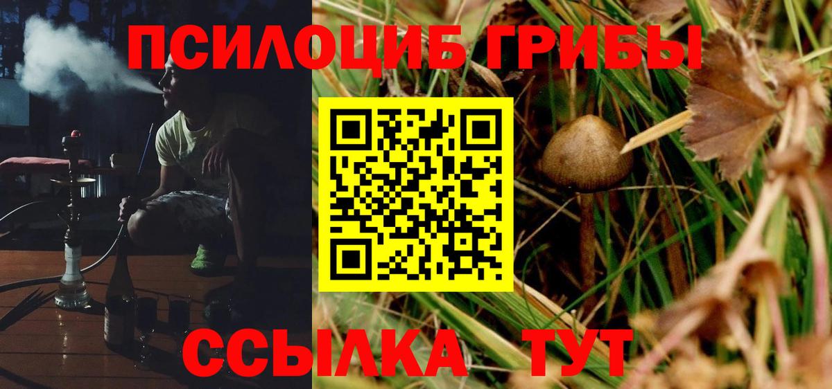 Галлюциногенные грибы GOLDEN TEACHER Ступино